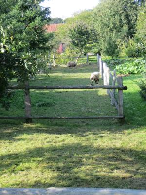 12-9-2014-uebern-gartenzaun1