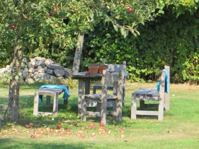 5-9-2014-sonntagsgruen-1