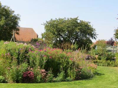 5-9-2014-sonntagsgruen-3