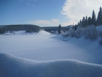 443310_R_K_by_Katrin-Luebke_pixelio-de