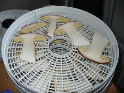 224471_366989620044977_2044401755_n