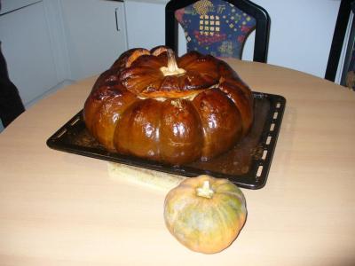 522189_377561288987810_318002688_n