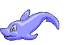 dolphin1