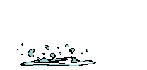fisch44
