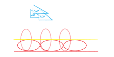 Muskelfastfertig-null