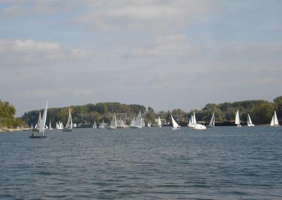 Regatta