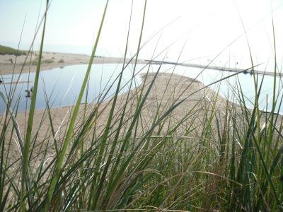 lake michigan<br />
