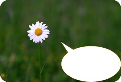 was soll man dazu sagen...