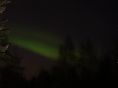 aurora