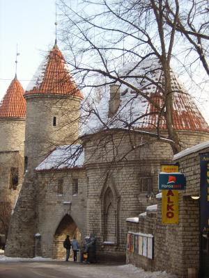 stadtmauer-tallinn