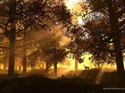 wald_14