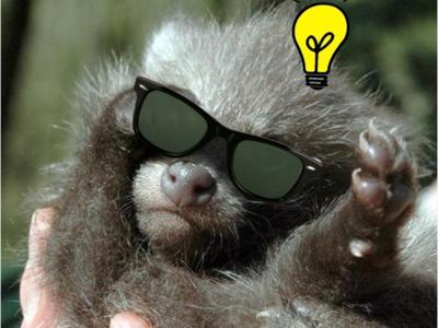 902234408-tier-tiere-tierbaby-tierbabys-5tI8hnmSp34_phixr-2