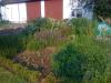 herbgarden June 2013