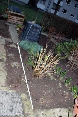 IMG_3866_k-mit-Linie