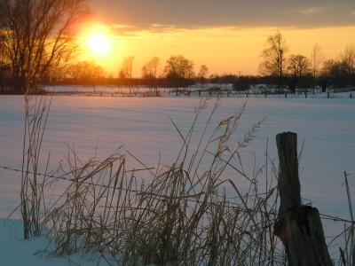 Winterimpressionen
