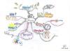 mindmap