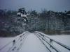 Schnee-in-Prerow
