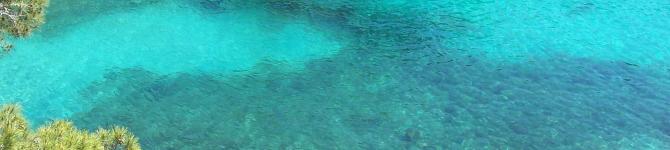 header