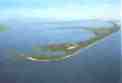 sylt1
