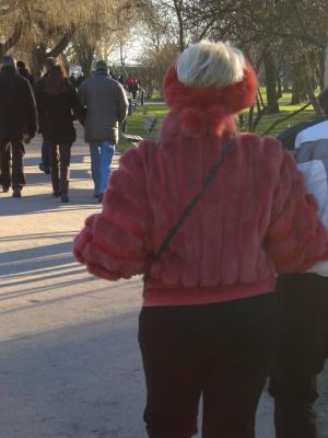 Alster