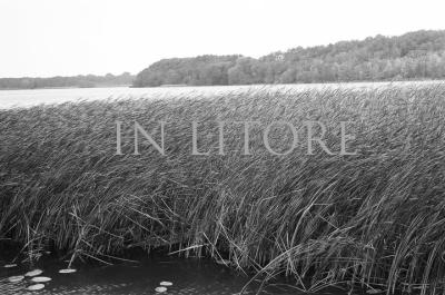 253463_1992901309642_1456690613_2170644_1611467_n1