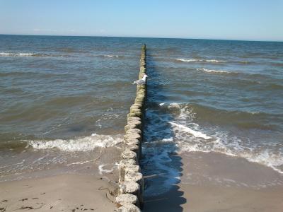 Wer steht schon auf Sommersprossen ? *-*