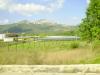 PICT0740