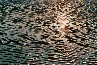 005_6
