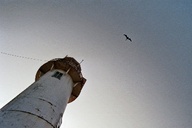 010_11