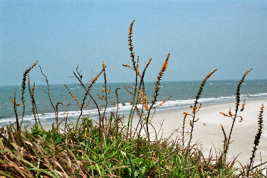 027_27A