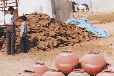 Kamel-Mist-Pushkar