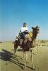 Kamelritt1