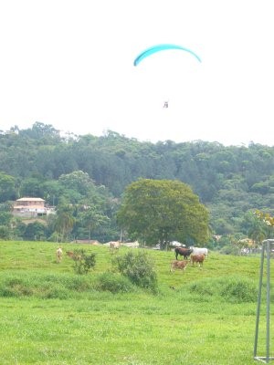 Paragliding_4