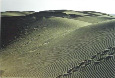 Sandduenen