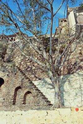 imm079_14-1