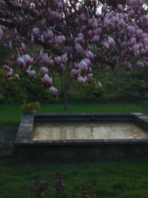 Aprilmorgen