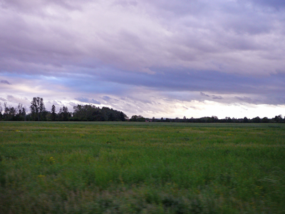 Flach