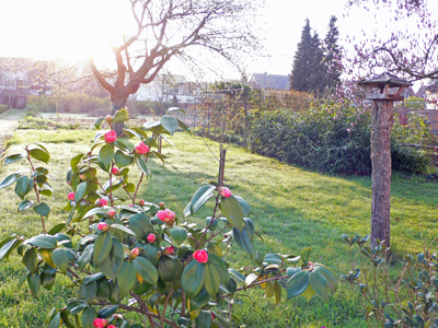 Fruehlingsmorgen