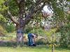 Gartenarbeit1