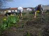 Gartenarbeit