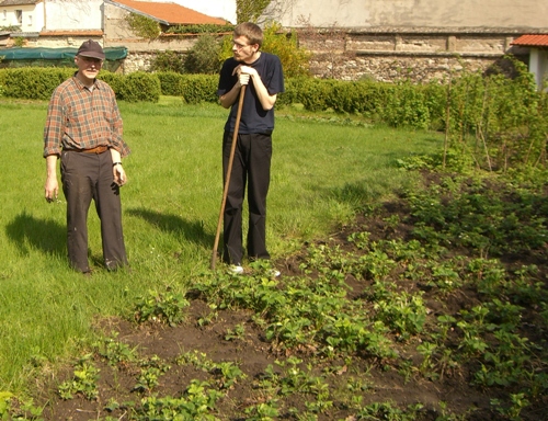 In_den_Erdbeeren