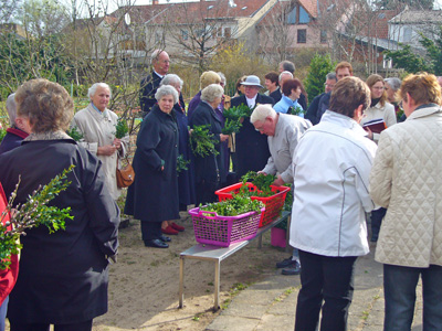 Palmsonntag