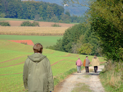 Schmerlenbach