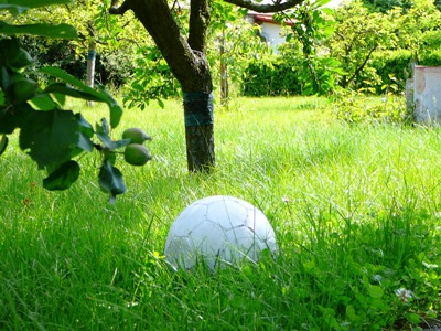 der-ball-ist-rund