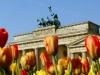 Deutschland: Berlin, Brandenburger Tor