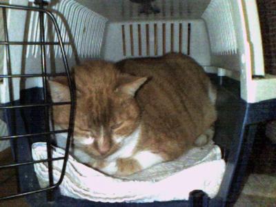 33661F1079F511DA850F11C6D50632F6