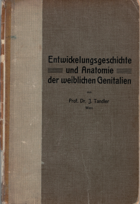 Entwicklungsgeschichte-und-Anatomie-der-weiblichen-Genitalien