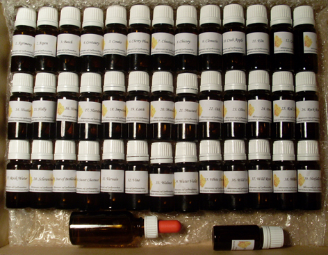 4307428552_c5fb9ed723_o