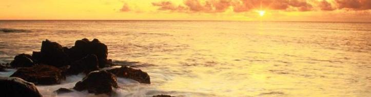 header