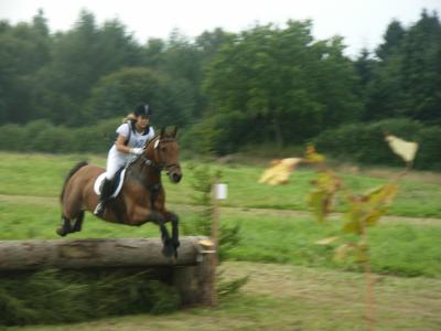 Das-ist-wahres-Reiten